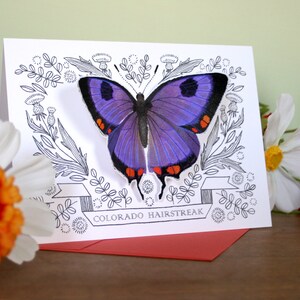 Butterfly Notecard - Colorado Hairstreak - 3D Blank Card, All Occasion Greeting Card, Thank You Card, Stationary