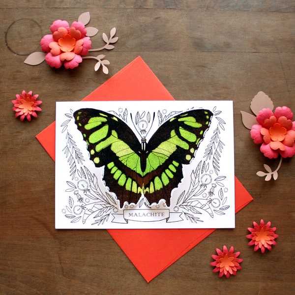 Butterfly All Occasion Card - Malachite Butterfly - 3D Blank Card, Greeting Card, Notecard, Thank You Card, Stationary
