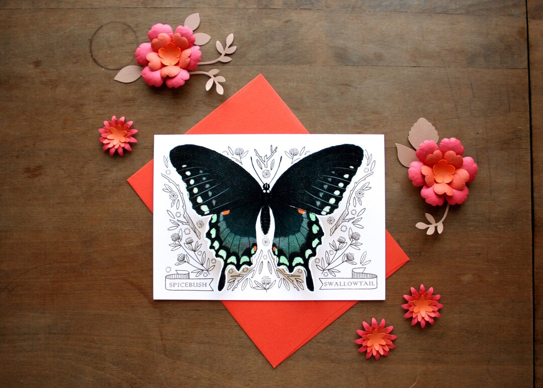 Spicebush Swallowtail Butterfly Card – Blank All Occasion Greeting - Etsy