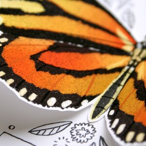 Carte papillon - Tiger Mimic Queen - carte vierge 3D, carte pour toutes les occasions, carte de remerciement, papeterie image 5