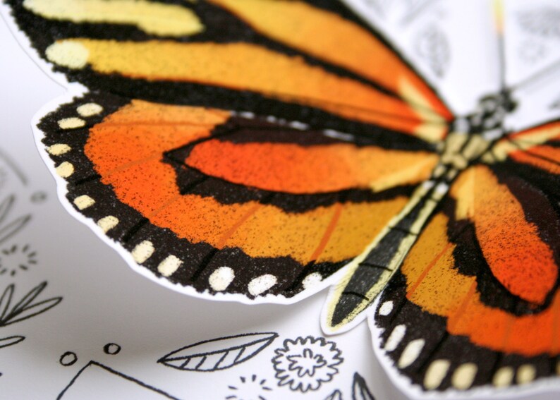 Carte papillon - Tiger Mimic Queen - carte vierge 3D, carte pour toutes les occasions, carte de remerciement, papeterie image 5