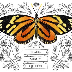 Carte papillon - Tiger Mimic Queen - carte vierge 3D, carte pour toutes les occasions, carte de remerciement, papeterie image 6