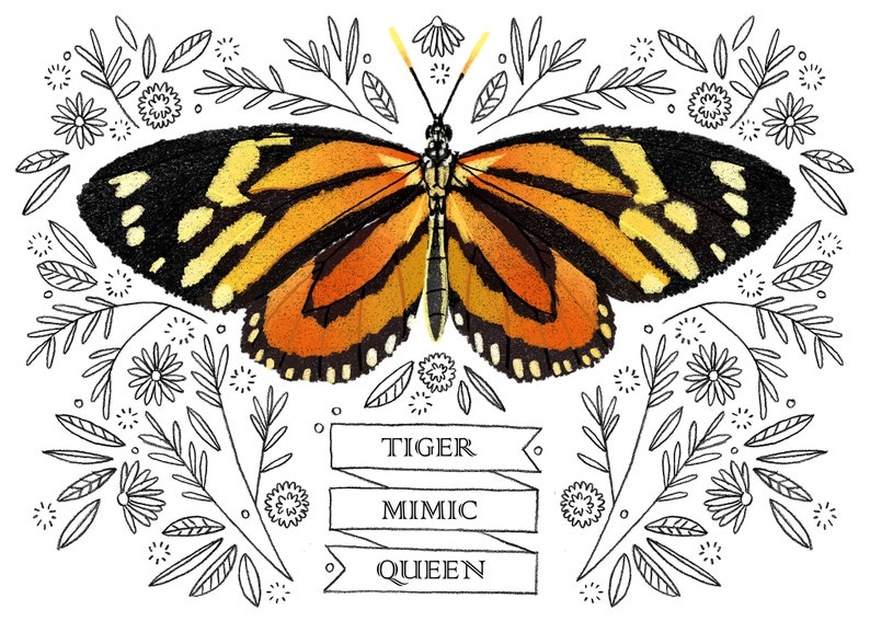 Carte papillon - Tiger Mimic Queen - carte vierge 3D, carte pour toutes les occasions, carte de remerciement, papeterie image 6