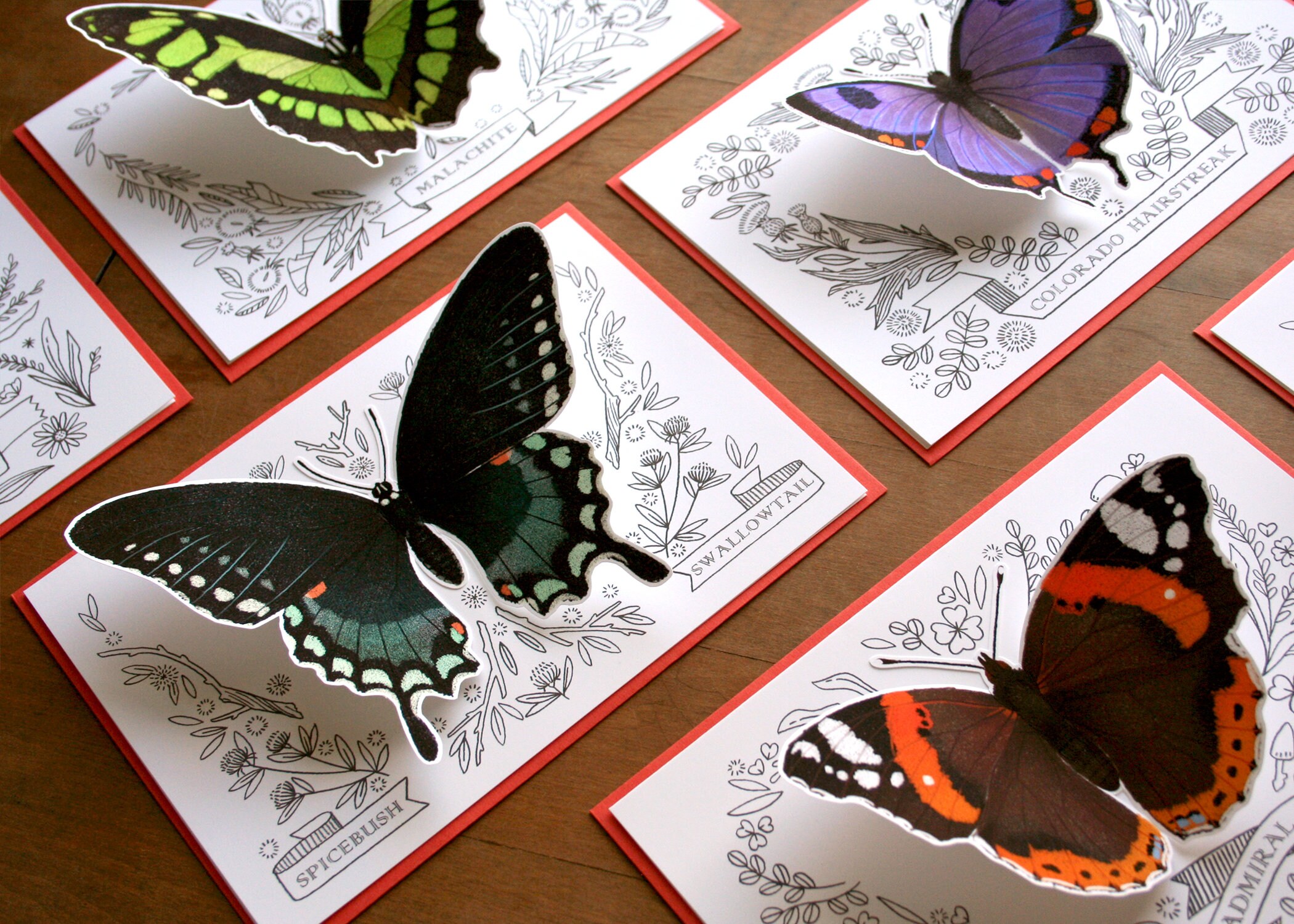 3D Butterfly Card Set - Set of Six - Blank Cards, All Occasion ...