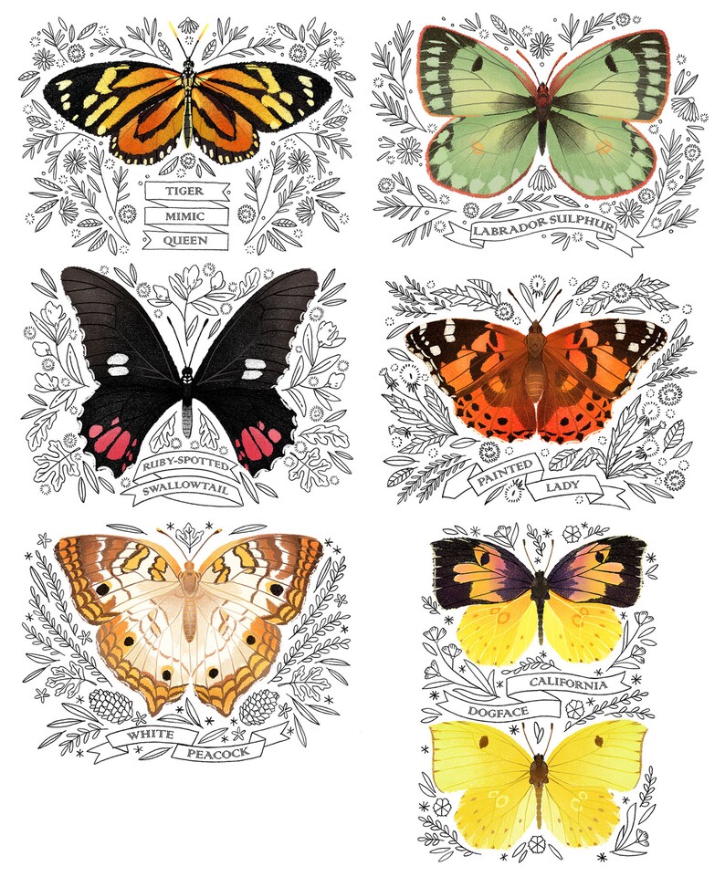Carte papillon - Tiger Mimic Queen - carte vierge 3D, carte pour toutes les occasions, carte de remerciement, papeterie image 7