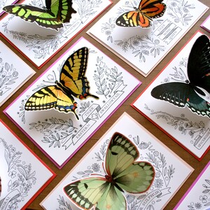 Carte papillon - Tiger Mimic Queen - carte vierge 3D, carte pour toutes les occasions, carte de remerciement, papeterie image 8