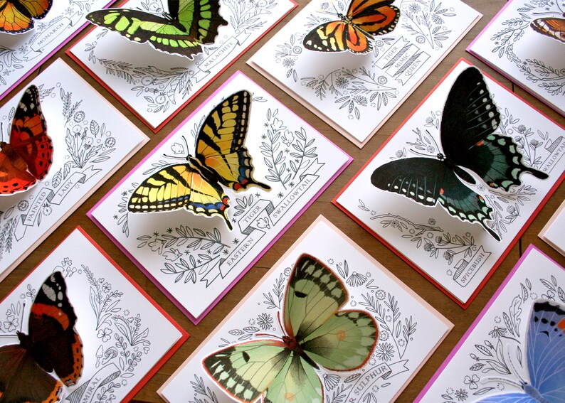 Carte papillon - Tiger Mimic Queen - carte vierge 3D, carte pour toutes les occasions, carte de remerciement, papeterie image 8