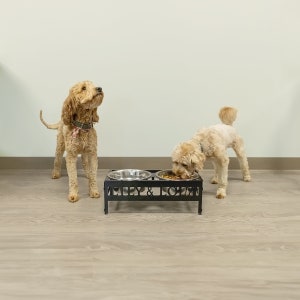 May include: Two dogs, one brown and one cream colored, eating from stainless steel bowls on a black metal stand. The stand has the words "Lily & Lola" engraved on it.