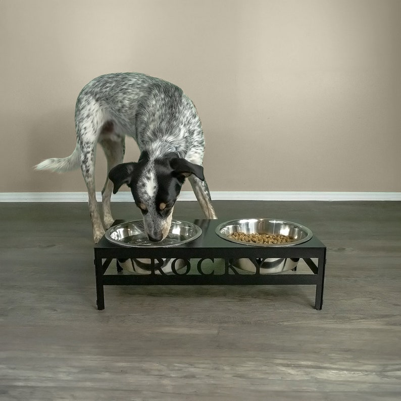 May include: A black metal dog food and water bowl stand with the name "ROCKY" engraved on the front. A blue and white dog is eating from the bowl on the left.