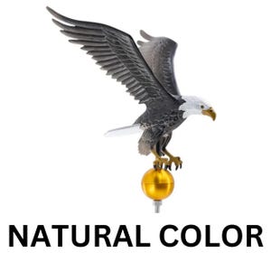 May include: A bald eagle figurine with outstretched wings, a white head, and dark brown feathers, perched atop a smooth, spherical gold-colored ball. The eagle has a yellow beak and talons. The text NATURAL COLOR is printed below the object.