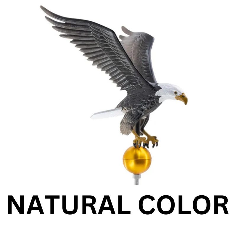 May include: A bald eagle figurine with outstretched wings, a white head, and dark brown feathers, perched atop a smooth, spherical gold-colored ball. The eagle has a yellow beak and talons. The text NATURAL COLOR is printed below the object.