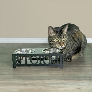 May include: Black metal pet food bowl stand with two stainless steel bowls. The stand has the name "STORM" cut out in the front. A tabby cat is sitting next to the stand.
