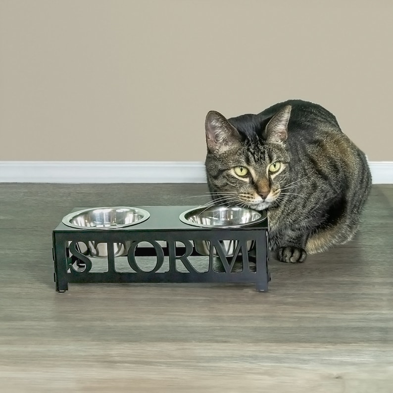 May include: Black metal pet food bowl stand with two stainless steel bowls. The stand has the name "STORM" cut out in the front. A tabby cat is sitting next to the stand.