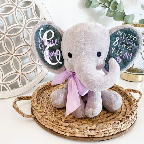 Alligator Birth Stats Stuffed Animal Personalized Plush Etsy