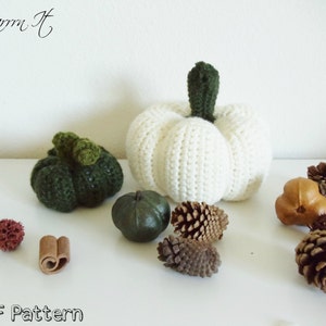 Pumpkin Patch PDF Amigurumi Crochet pattern image 2