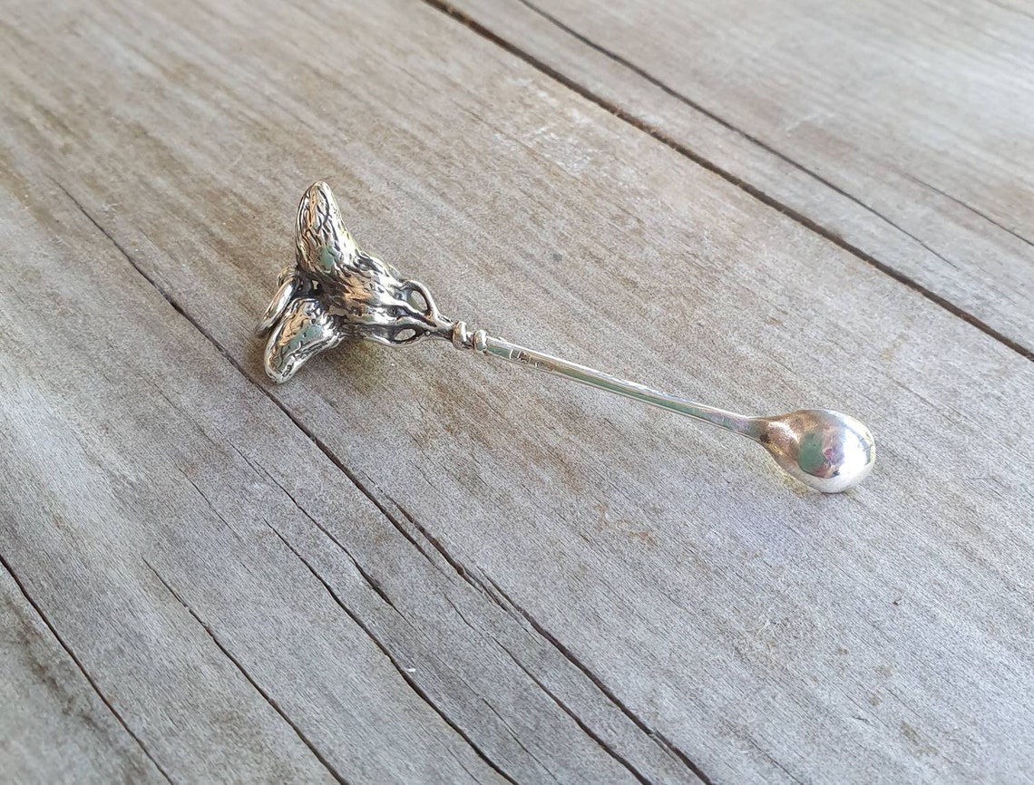 Coke spoon pendantsterling silverCrazy crittercollectors Etsy