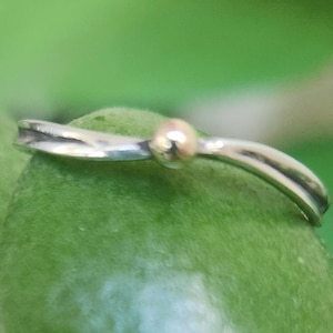 May include: A silver ring featuring a smooth, curved band with a single small, round gold bead accent positioned off-centre. The metal band has a polished finish and a gentle wave-like shape that tapers slightly towards the ends of the ring.