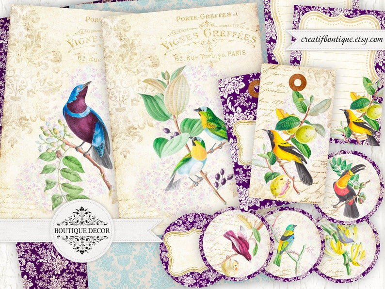 botanischer garten kit