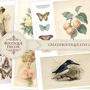 cartes vintage. Shabby Butterfly Floral Birds Autumn Printable Junk Journal Embellishments Kit. Téléchargement instantané. Papercraft. Stationnaire