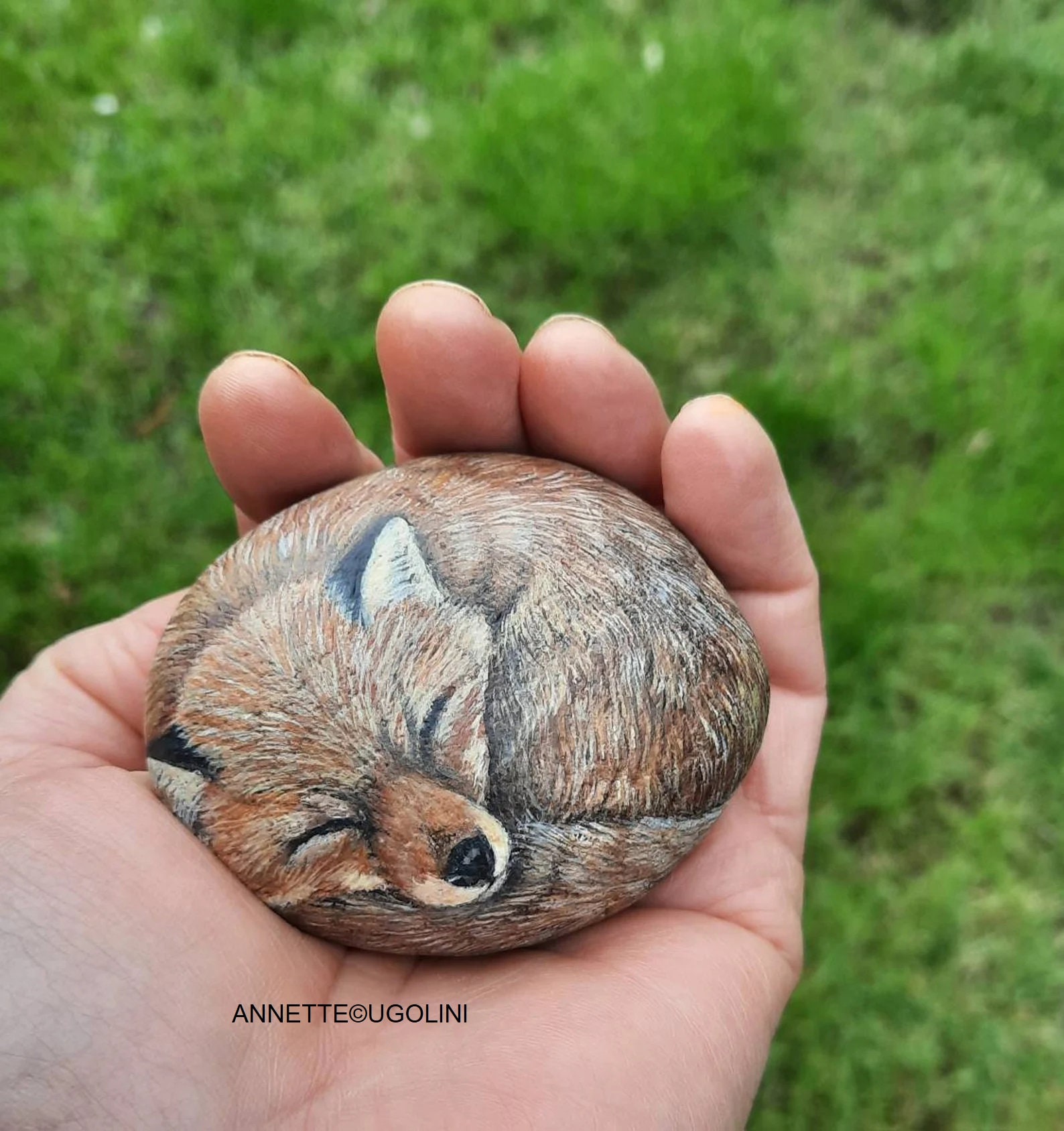Fox Painted Rock