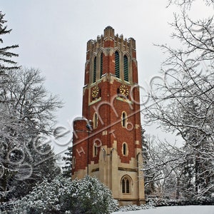 Wintry Beaumont Tower 2