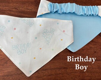 Pañuelo para mascota de niño cumpleañero