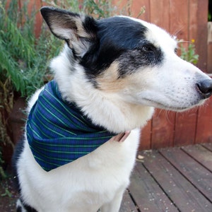 Dog Bandana  Gren and Blue - Seahawk Dog Bandana Size Medium  - Dog Scarf - Girl Dog Bandana Dog Apparel - Puppy Bandana  9&quot; by  30&quot;