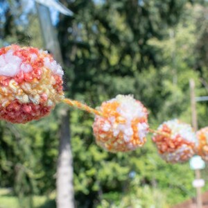 Sherburt Garland (12) 2 1/2 inch Pom Poms    Pom Banner - Pom Pom Garland -  Party  Garland -Party Pom Pom Garland- Ships Free
