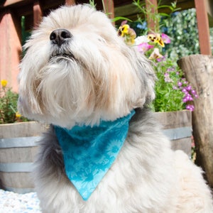 Dog Bandana - Over the Collar Reversable Turquise  - Small -  Washable Cotton - Dog Scarf  - Puppy Bandana  7 1/2&quot; by 5.5&quot;