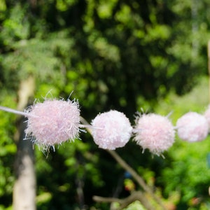 Pom Pom Garland PINK 7 2 Inch Pom Poms Pom Banner Pom Pom Garland Party Decoration Nursery Decoration t's A Girl image 3