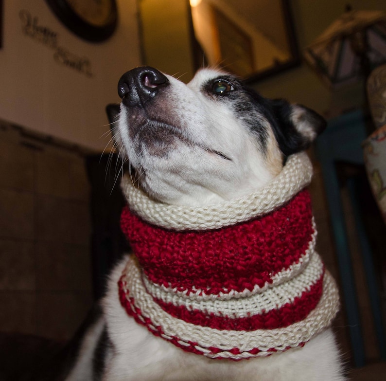 Knit Winter Dog Scarf Knit Dog Cowl Red and White Size Etsy