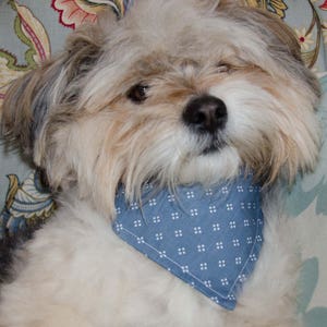 Dog Bandana - Over the Collar Blue n White  Print   -  Washable Cotton - Dog Scarf -Dog Clothing - Dog Apparel - Puppy Bandana  10&quot; by 7.5&quot;