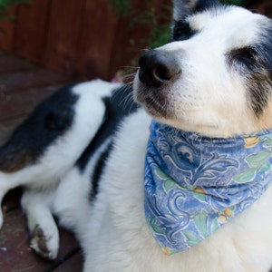 Dog Bandana Blue Floral Double Sided - Cotton - Dog Scarf -Dog Clothing - Dog Apparel - Puppy Bandana  9&quot; by  26.5&quot;