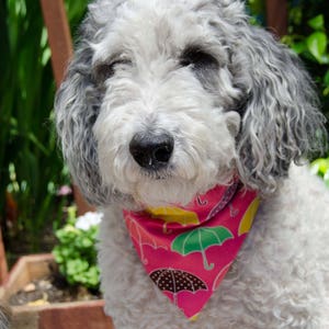 Dog Bandana - Over the Collar - Pink Umbrellas -  Reversable - Size Medium -  Washable Cotton - Dog Scarf  - Puppy Bandana  10&quot; by 7