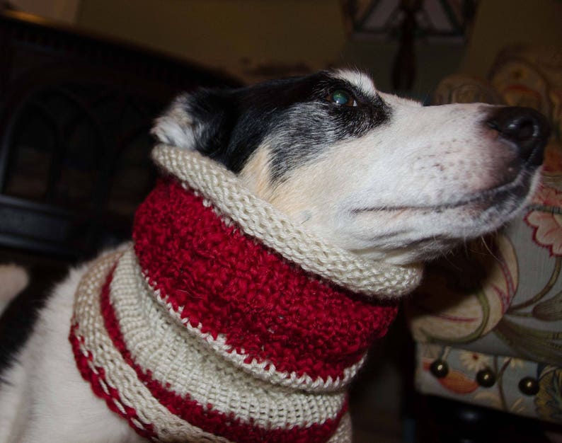 Knit Winter Dog Scarf Knit Dog Cowl Red and White Size Etsy