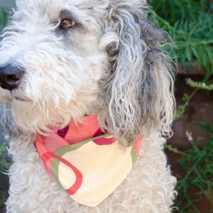 Dog Bandana Medium Double Sided - Coral and Green Cotton - Dog Scarf -Dog Clothing - Dog Apparel - Puppy Bandana  9&quot; by  30&quot;
