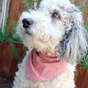 Dog Bandana Pink Floral  Double Sided - Cotton - Dog Scarf -Dog Clothing - Dog Apparel - Puppy Bandana  9&quot; by  28&quot;