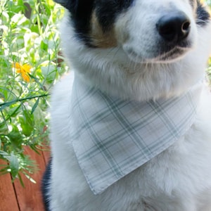 Dog Bandana - Over the Collar  - Cotton - Dog Scarf -Dog Clothing - Dog Apparel - Puppy Bandana  14&quot; by 8 1/2&quot; Sage Green White and Buff