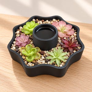 May include: A black, star-shaped planter featuring a central circular reservoir filled with dark liquid. The surrounding area is filled with small, light-colored pebbles and six artificial succulent plants in shades of green, pink, and deep red.