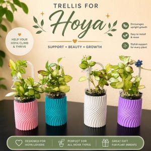 Mini Treliça para Hoya | Suporte para Plantas em Vasos de 5 a 10 cm | Estaca Moderna para Plantas de Interior | Trepadeira Hoya Impressa em 3D | Presente para Amantes de Hoya