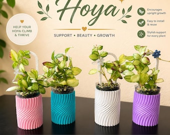 Mini enrejado para Hoya / Soporte para plantas en macetas de 5 a 10 cm / Estaca moderna para plantas de interior / Trepadora para Hoya impresa en 3D / Regalo para amantes de las Hoyas