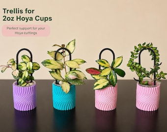 Mini Hoya Rankgitter | Pflanzenstütze für 50-100cm Blumentöpfe | Moderner Zimmerpflanzenstecker | 3D gedruckter Hoya Kletterer | Hoya Liebhaber Geschenk