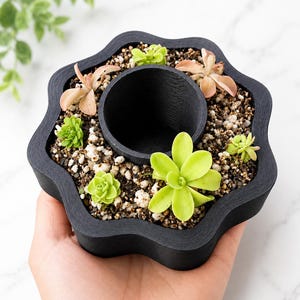 Maceta con sistema de autorriego para Pinguicula / Maceta para plantas carnívoras con forma de flor