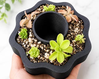 Maceta con sistema de autorriego para Pinguicula / Maceta para plantas carnívoras con forma de flor