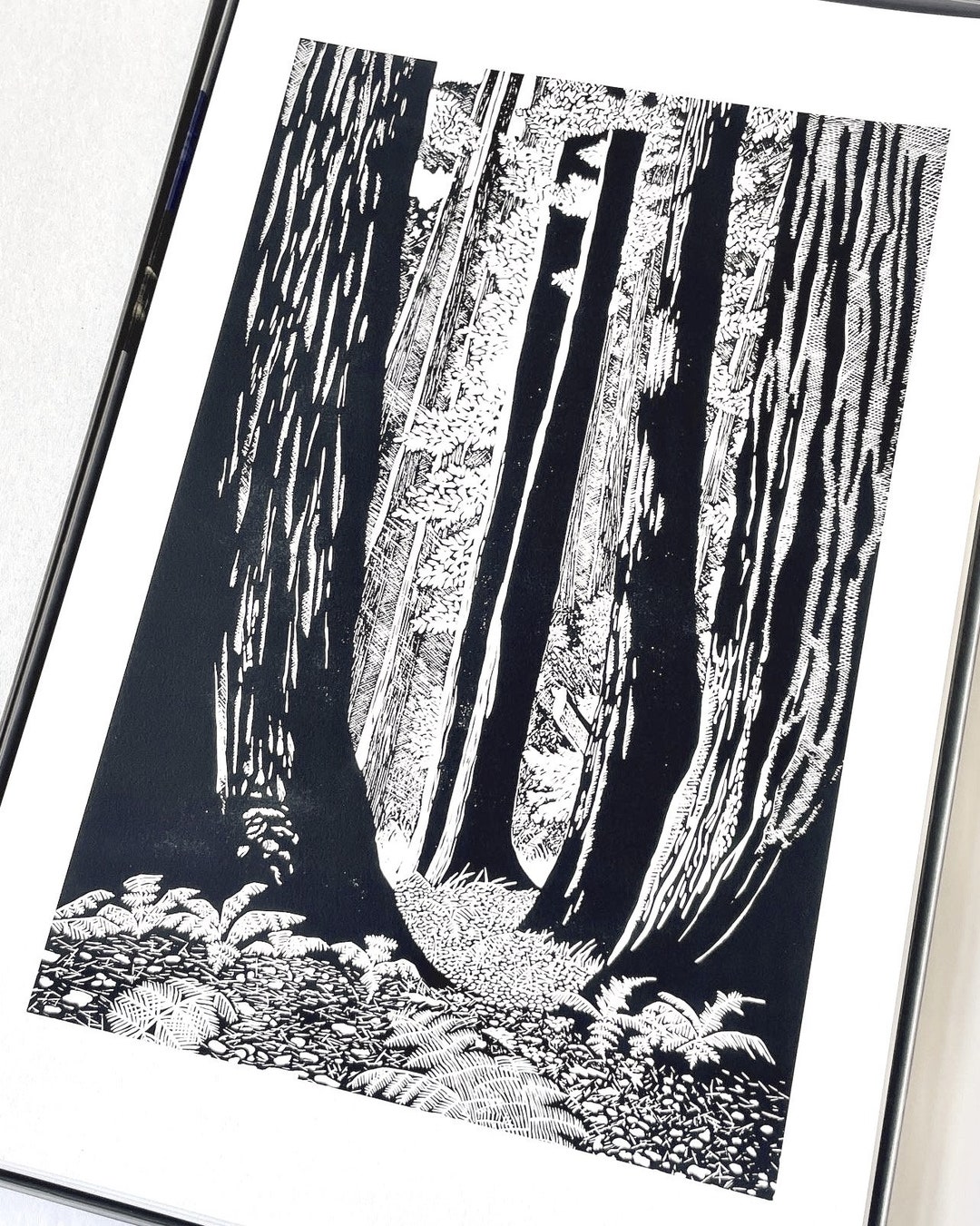 Fine Art Forest Print: the Hidden Grove - Muir Woods National Park - Etsy
