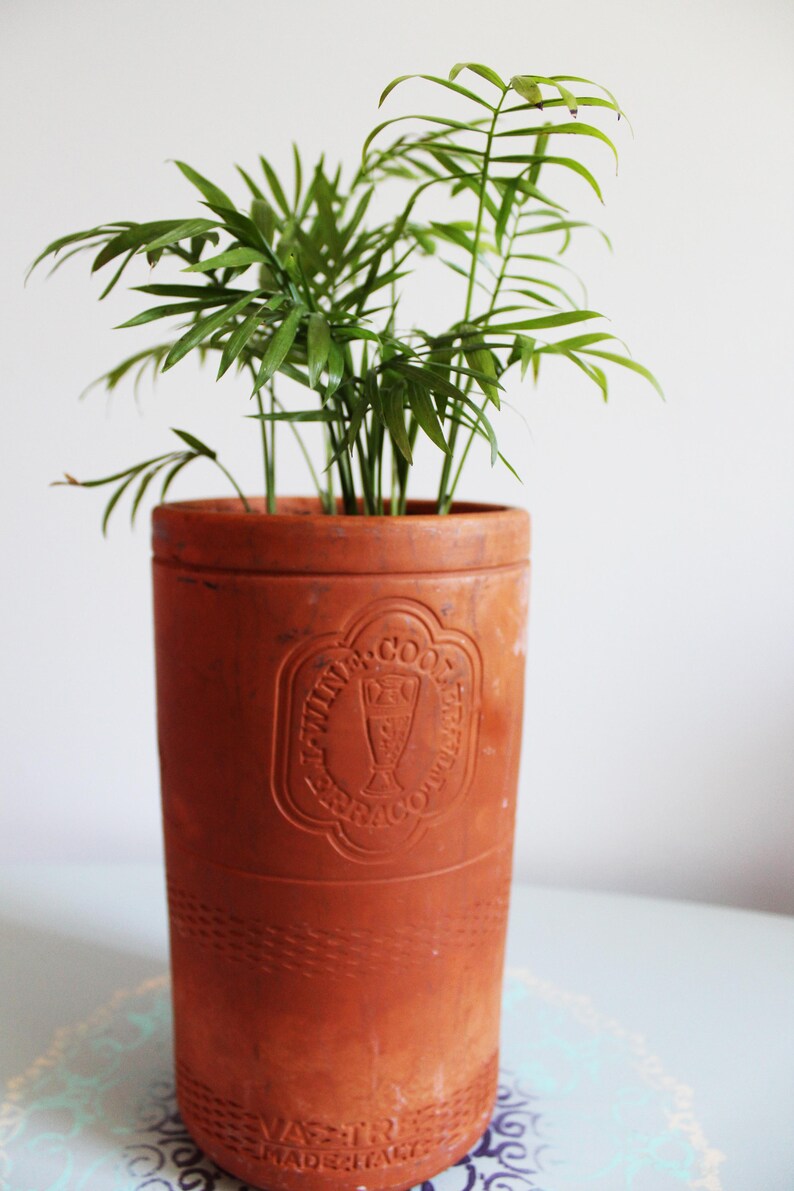 Home Living Chamaedorea Elegans Parlor Palm Plants