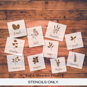 Herbs Plant Stencils |  Basil Cilantro Parsley Oregano Mint Dill Lavender Sage Thyme Rosemary Stencil | Reusable Stencil