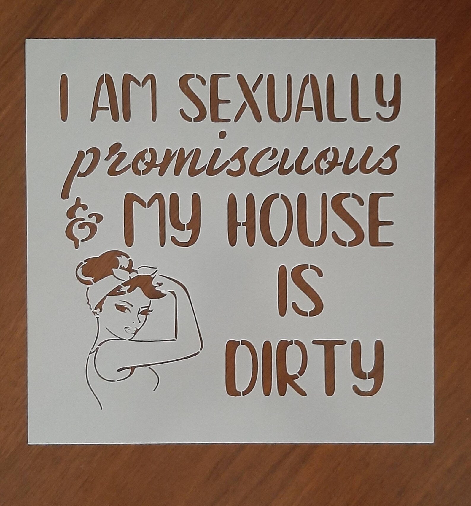 I'm Sexually Promiscuous And My House Is Dirty Decal or | Etsy