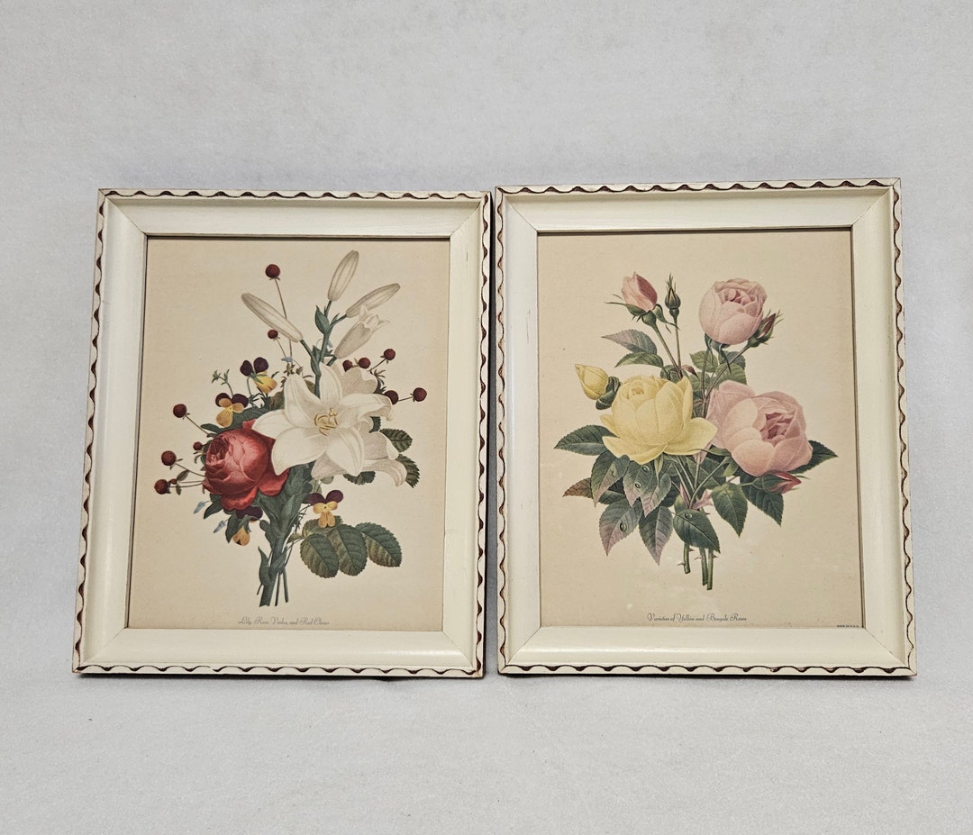 Borin Art Productspair of Framed Floral Printschicago IL Etsy