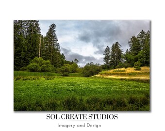 Bullfrog Pond | Armstrong Woods Landscape Art  (Digital Download)